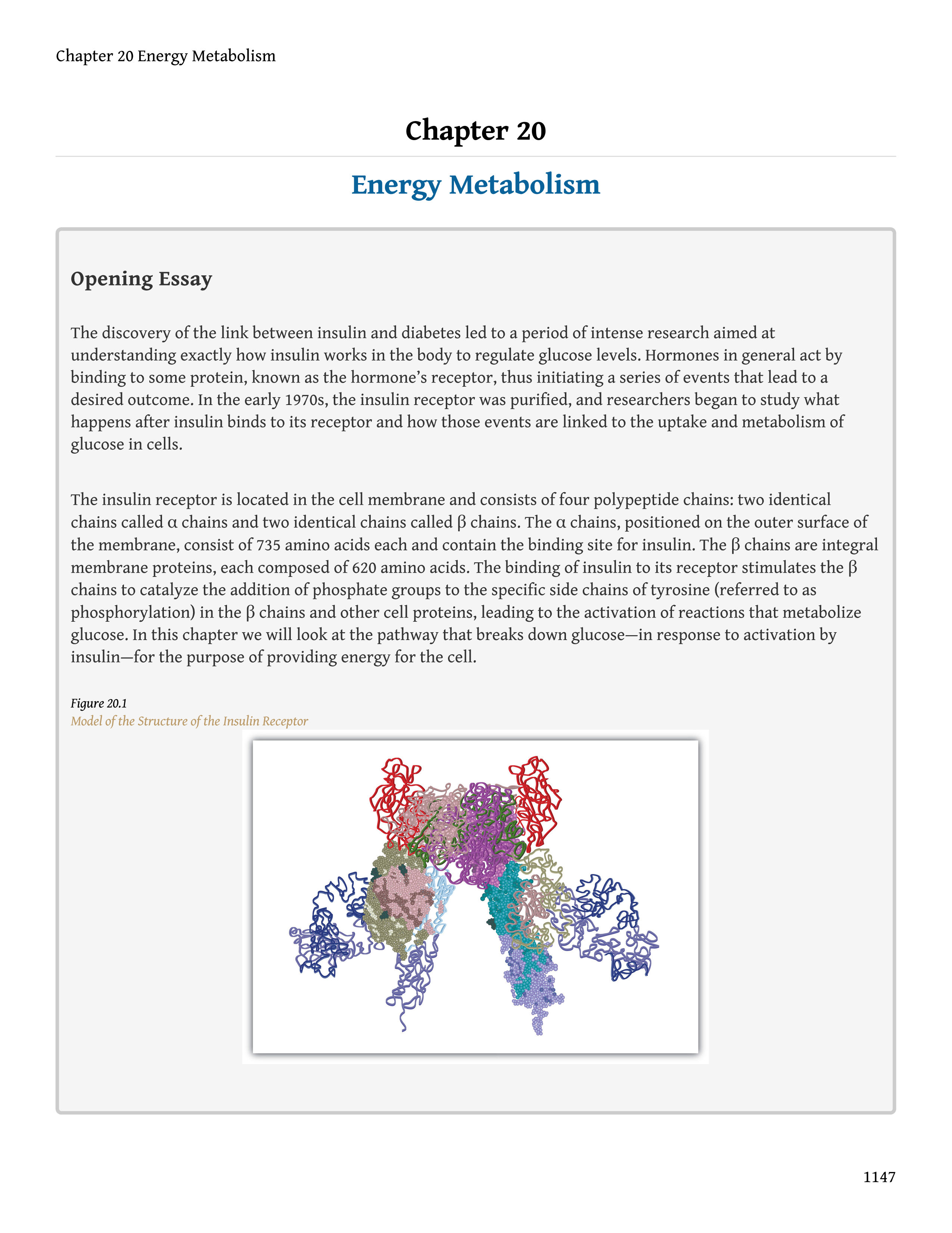 No preview available